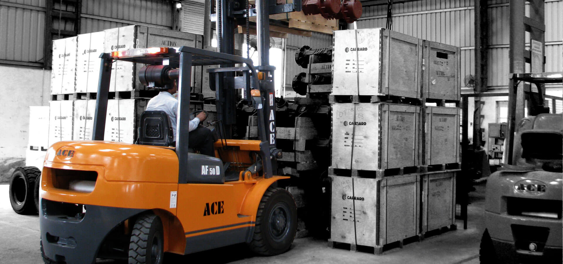 ACE Ltd.