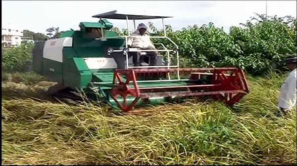 ACE Track Combine Harvester machine for Crop Harvesting in Agricultural Farms- Available at best Price in india